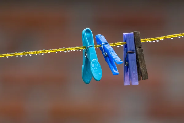 Grampos de lavanderia molhados em uma linha de roupa — Fotografia de Stock