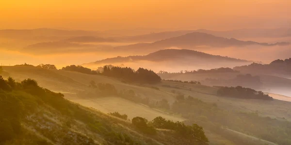 Rolling hill Paesaggio in Toscana — Foto Stock