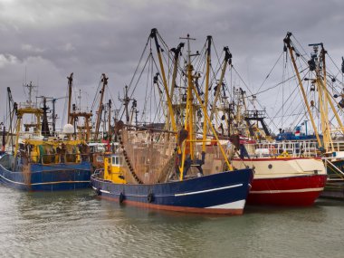 balıkçı tekneleri Harbour