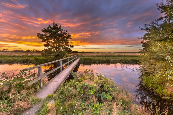 Puente de madera caminando al atardecer — Foto de Stock