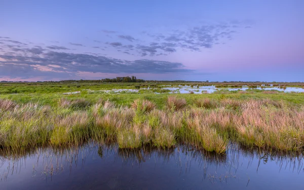 Wetland Zuidlaardermeer al tramonto — Foto Stock