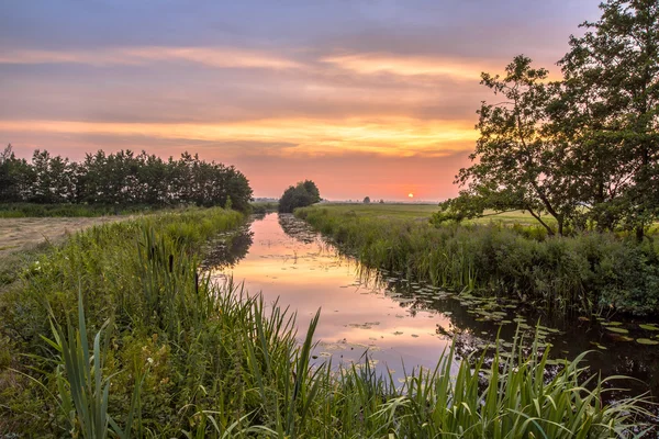 Rivière des basses terres Koningsdiep — Photo