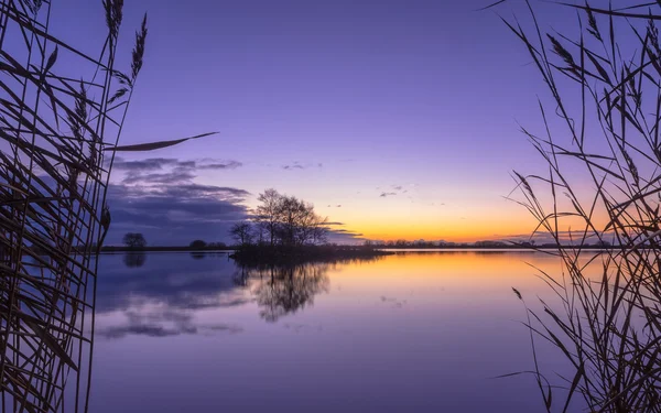 紫の夕日の中に穏やかな湖で葦のシルエット — ストック写真