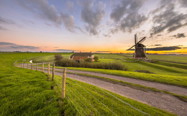Голландская деревянная мельница в плоской травянистой местности
 