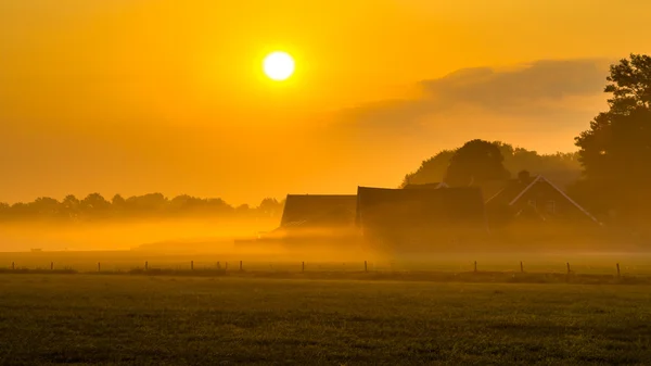 Оранжевый восход солнца над сельской местностью Нидерландов — стоковое фото
