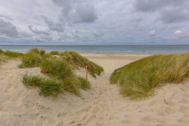 Beach dune sea vista clipart