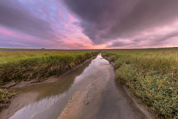 Sunset over tidal creek — Stock Photo, Image