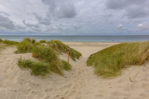 Beach dune deniz uzak manzara — Stok fotoğraf