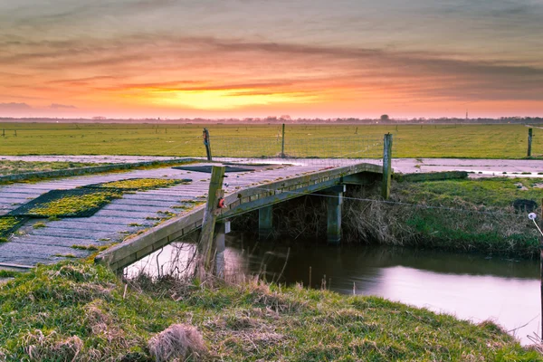 Flussland-Niederlande — Stockfoto