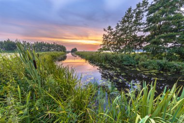 Koningsdiep Nehri Vadisi