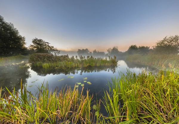 Sistema fluviale paludoso sotto l'alba mattutina nebbiosa — Foto Stock