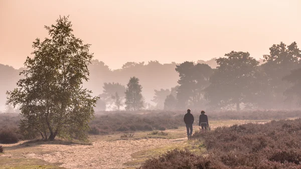Panorama of Couple strolling through heathland under autumn ligh — Stock Photo, Image