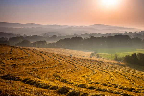 Heuvelachtig boerenland landschap — Stockfoto