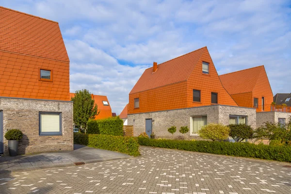 Modern houses with striking red slate roof tiles — Stock Photo, Image