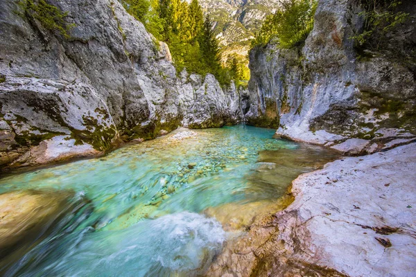 Fiume Soca Colore Blu Nel Parco Nazionale Del Triglav Alpi — Foto Stock