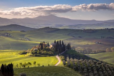 San Quirico d 'Orcia yakınlarındaki Toskana kırsalında sisli sabahın erken saatlerinde Toskana, İtalya, Nisan ayında.