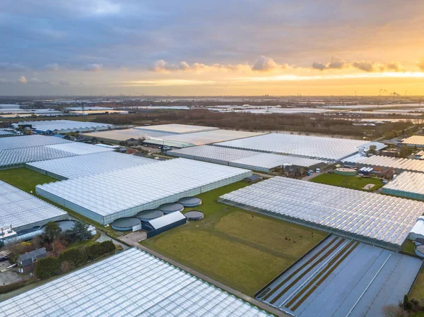 オランダのウエストランドまたはガラス都市温室園芸エリアの空中ビュー 世界最大の食料生産地域の一つは オランダ経済の巨大なエンジン — ストック写真