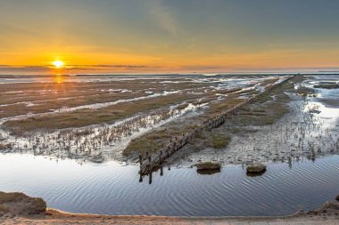 Wadden Denizi kıyısındaki tuzlu bataklık düzlüklerinin üzerindeki hava manzarası. Uithuizen, Groningen Eyaleti.