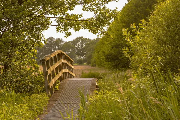 Houten Brug Wandelpad Groene Graslandvallei Van Westerstroom Beek Benneveld Provincie — Stockfoto