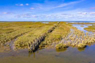 Gelgit Bataklığı Ulusal Parkı 'nda Willow kampı ve Groningen Eyaleti' nin Waddensea bölgesindeki Unesco Dünya Mirası alanında. Hollanda