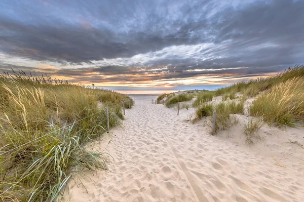 Landschapszicht Zandduin Aan Noordzeekust Bij Zonsondergang Bij Wijk Aan Zee — Stockfoto