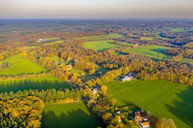 Hollanda 'nın Gelderland Eyaleti' ndeki Veluwe bölgesindeki büyük ormandaki tarımsal eski çayırlık alanlar. Avrupa 'nın doğasında manzara manzarası.
