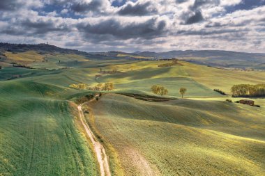 Val d 'Orcia Tuscany, İtalya' nın kayan tepelerindeki ağaç gruplarıyla sakin bir manzara..