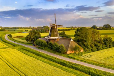 Hollanda 'nın Groningen Eyaleti' nin kırsal kesimindeki tarım arazisindeki tarihi yel değirmeni..