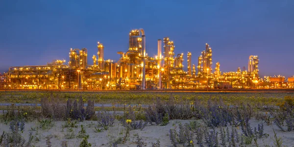 Contradicting Natural Vegetation Foreground Chemical Industrial Factory Background — Stock Photo, Image