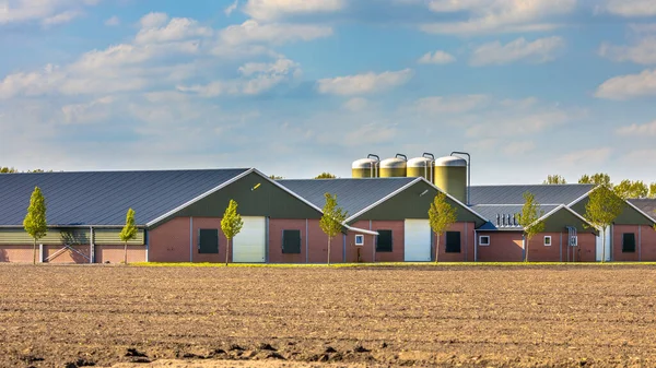 荷兰农业景观中的大型现代谷仓 — 图库照片