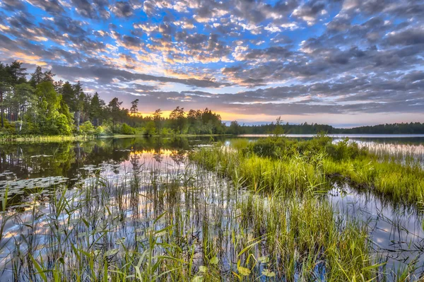 スウェーデンのVastergotland Hokensas自然保護区の湖Nordvattnetで日没 — ストック写真