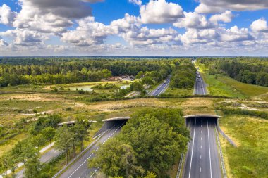 Dwingelderveld Ulusal Parkı, Beilen, Drenthe, Hollanda 'daki Ecoduct yaban hayatının hava görüntüsü