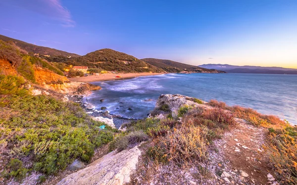 海岸植生とキャップコルセ コルシカ島 フランスの岩の海岸線でカラフルな夕日 — ストック写真