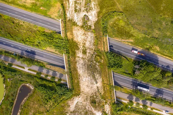 Top Luchtfoto Van Ecoduct Wildlife Kruising Bij Nationaal Park Dwingelderveld — Stockfoto