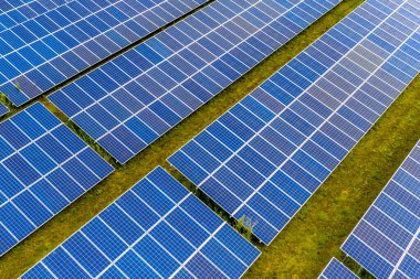 Hollanda 'nın Groningen Eyaleti' nde Hollanda kırsalında güneş çiftliği