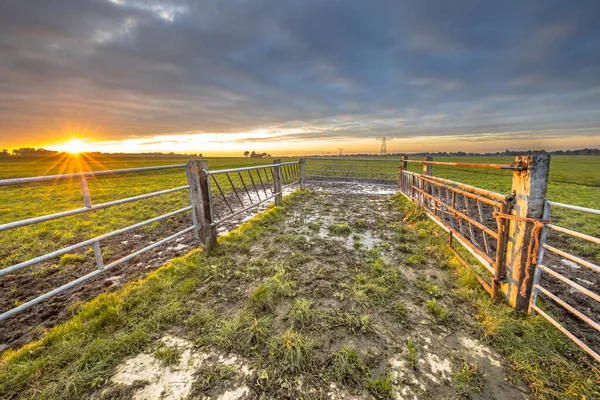 セントヤンクロスターの低地牧草地農地のゲートの上の日没 Overijssel オランダ — ストック写真