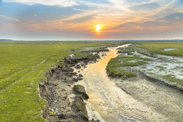 Přílivový Průliv Slaniscích Přirozeným Meandrujícím Odvodňovacím Systémem Brodeném Ostrově Ameland — Stock fotografie