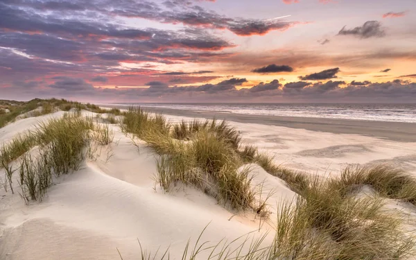 Coucher Soleil Vue Haut Des Dunes Sur Mer Nord Depuis — Photo