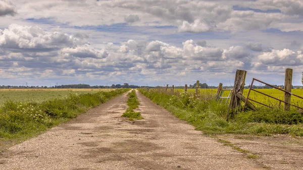 Concrete Farming Track Wooden Gate Dutch Agricultural Landscape Springtime Sky — Stock Photo, Image