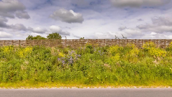 Ekologická Zvuková Bariéra Hliněná Zeď Proutěným Plotem Vrbových Větví Květiny — Stock fotografie