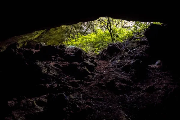 Bejárata Mészkő Barlang Karszt Táj Cevennes Franciaország — Stock Fotó