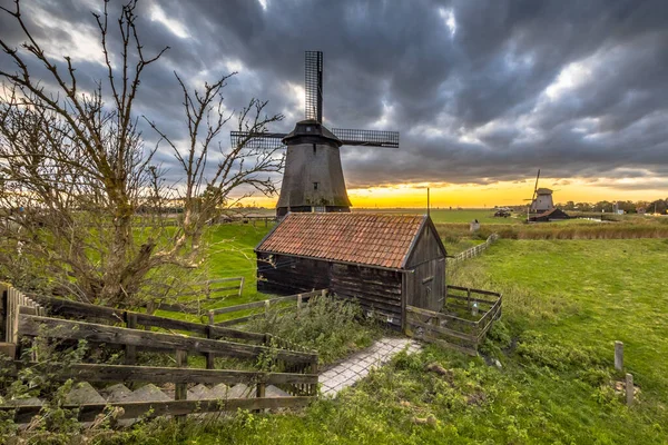 전통적 풍차에는 네덜란드 근처의 농경지에 판잣집 네덜란드 — 스톡 사진