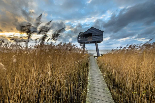 Promenade Bois Travers Marais Salant Menant Peau Observatoire Dans Zone — Photo