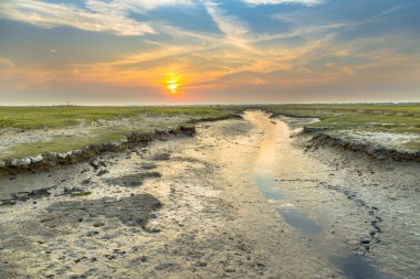 Hollanda 'nın Friesland kentindeki Ameland Adası' nda doğal dolambaçlı drenaj sistemi olan tuzlu bataklıktaki gelgit kanalı.