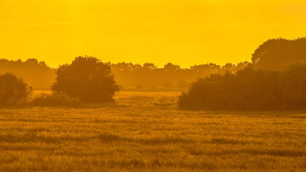 Oranje Sillhouet Zonsondergang Boven Grasland Riviervallei Bezaaid Met Struiken Van — Stockfoto