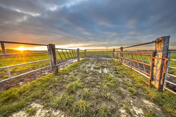 Apus Soare Peste Poartă Terenuri Agricole Pajiști Joase Din Sint — Fotografie, imagine de stoc