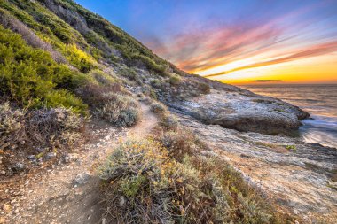 Cap Corse, Corsica, Fransa 'nın kayalık kıyı şeridinde kıyı bitki örtüsü boyunca uzanan patika
