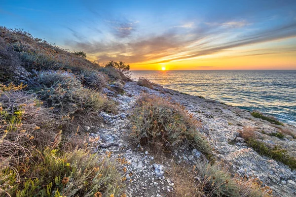 キャップコルセ コルシカ島 フランスの岩だらけの海岸線の海岸植生を歩く歩道 — ストック写真