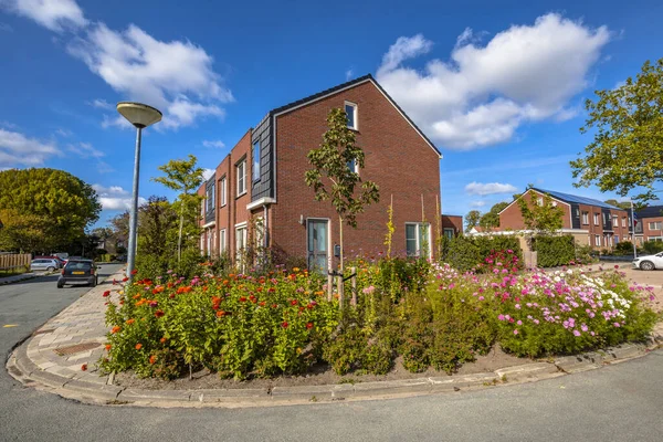 Street Landscape Modern Houses Flowers Dutch Town Netherlands — Stock Photo, Image