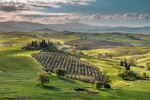 Toskanische Landschaft Der Nähe Von San Quirico Orcia Bei Nebligem — Stockfoto